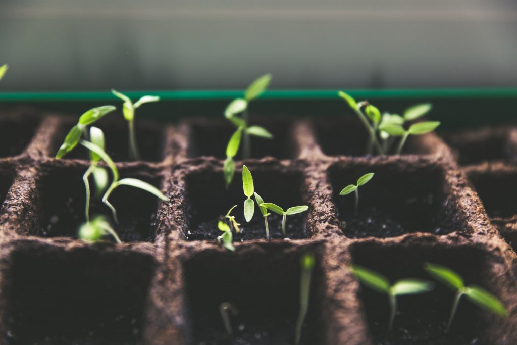 Extend Summer Gardening with an Enclosed Porch Garden