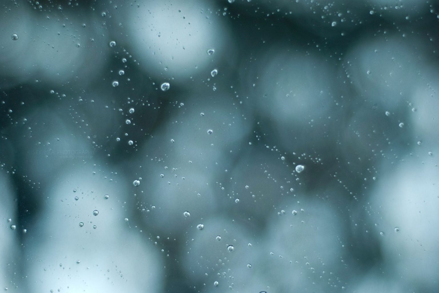 Why Is There Moisture Inside My Window? Aluplex Glass and Skylights