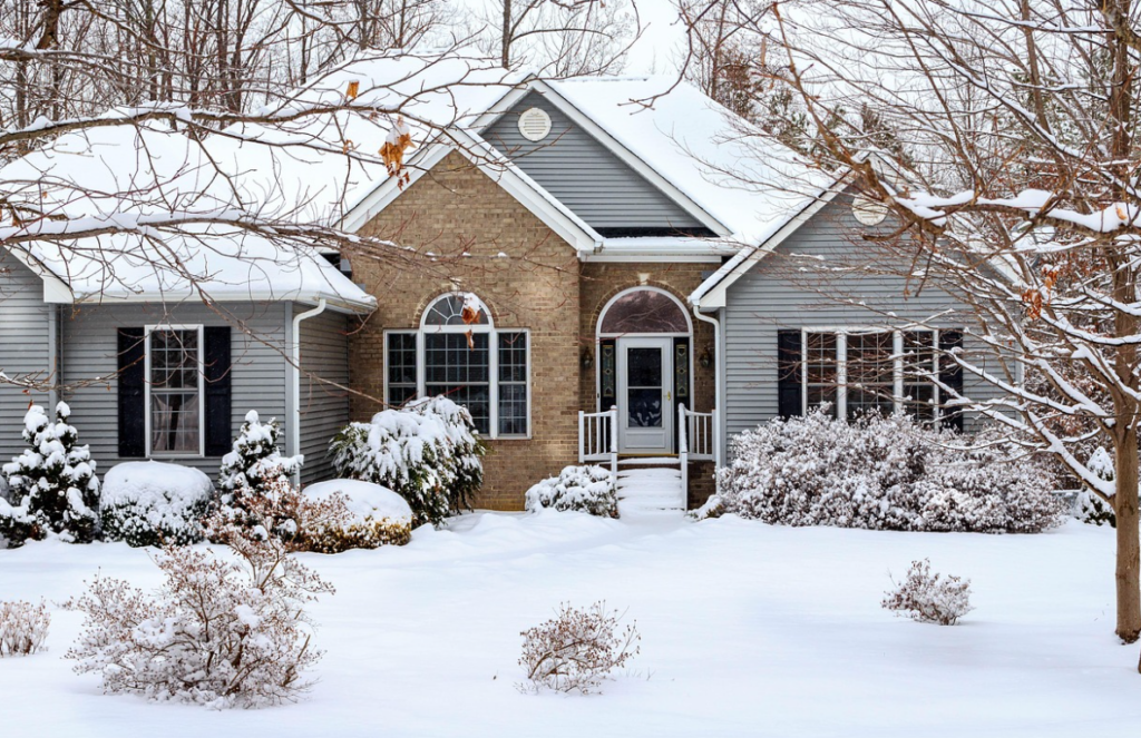 seasonal natural light solutions 2026