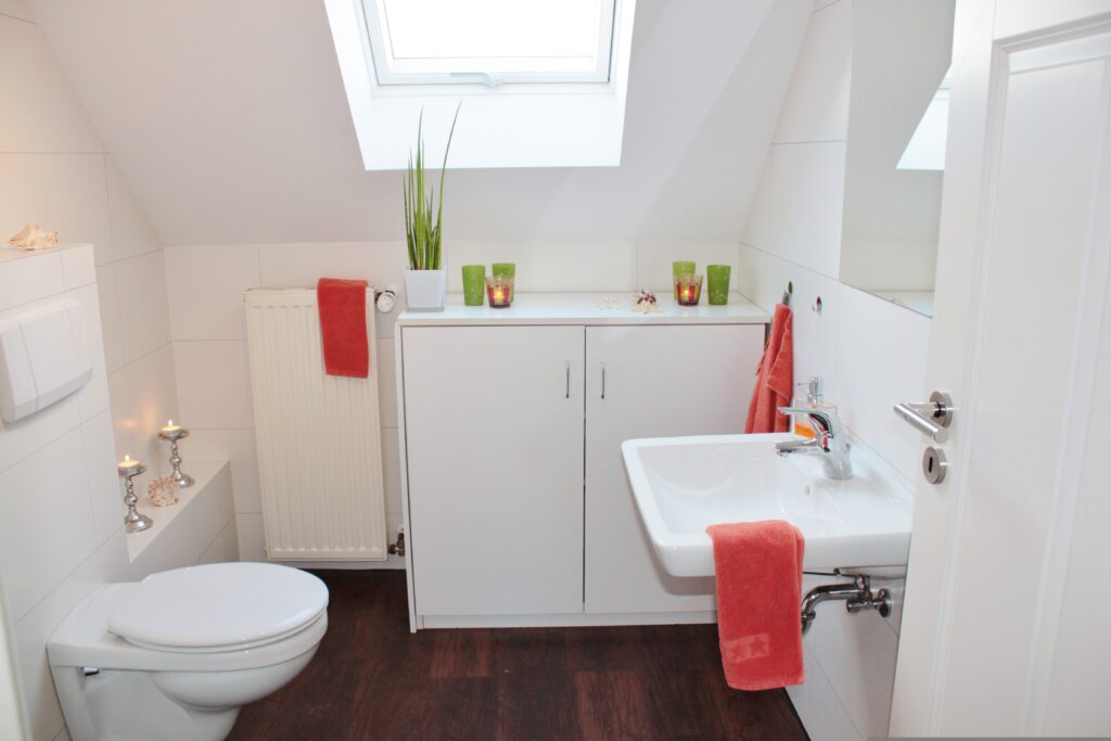 bathroom with skylight