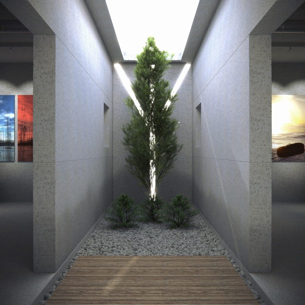 tree skylight room